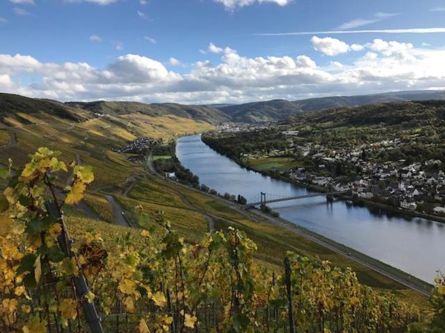 Ferien-Wein-Gut Keifer Hotell Bernkastel-Kues Exteriör bild