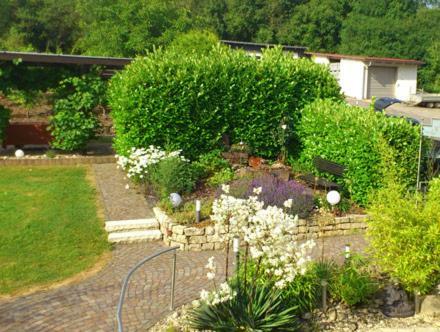 Ferien-Wein-Gut Keifer Hotell Bernkastel-Kues Exteriör bild